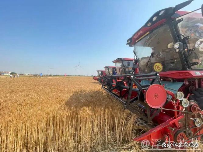 “三夏”中的新型生产力